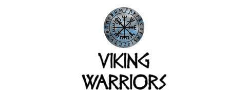 Viking Warriors